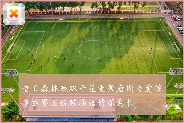 昔日森林狼双子星重聚唐斯与爱德华兹赛后视频通话情深意长